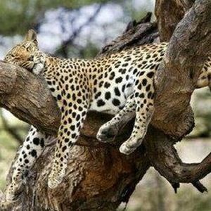 Meet your Posher, Aleida l